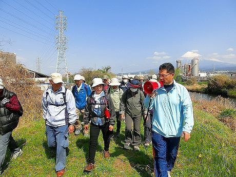 久しぶりに満開のサクラを堪能!? 田宿川・滝川・沼川沿いを歩く「2018お花見ウォーク」_f0141310_07444522.jpg