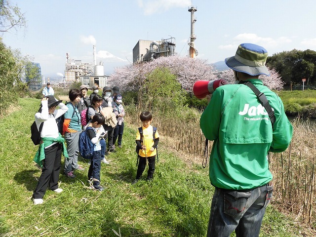 久しぶりに満開のサクラを堪能!? 田宿川・滝川・沼川沿いを歩く「2018お花見ウォーク」_f0141310_07450316.jpg