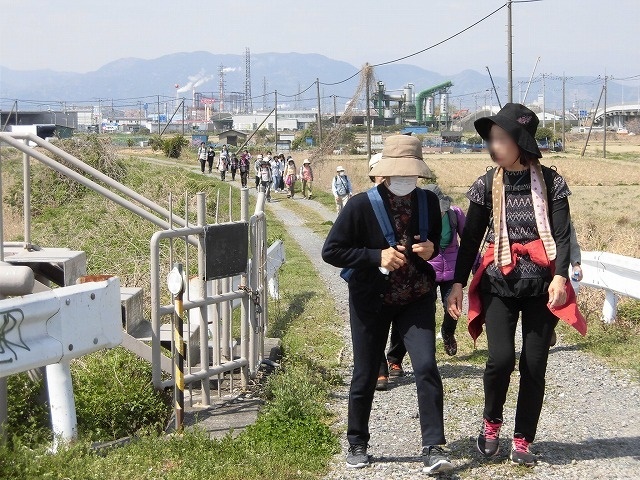 久しぶりに満開のサクラを堪能!? 田宿川・滝川・沼川沿いを歩く「2018お花見ウォーク」_f0141310_07460014.jpg