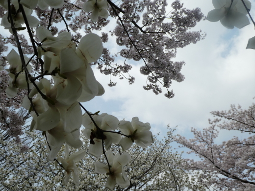 c0062511_22151288.jpg