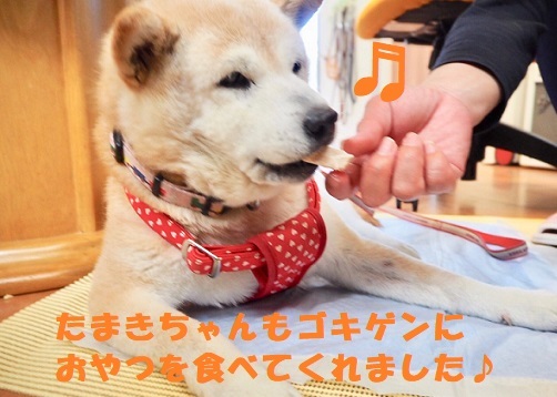 f0121712_08590548.jpeg