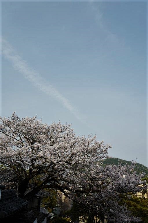 f0365212_21153603.jpg
