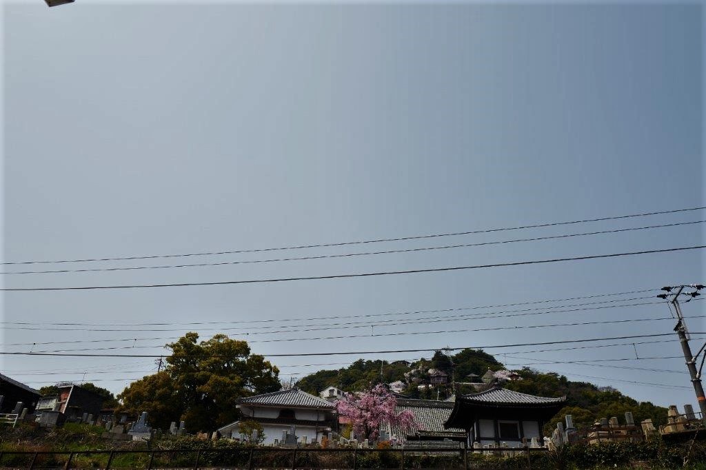 f0365212_21184599.jpg