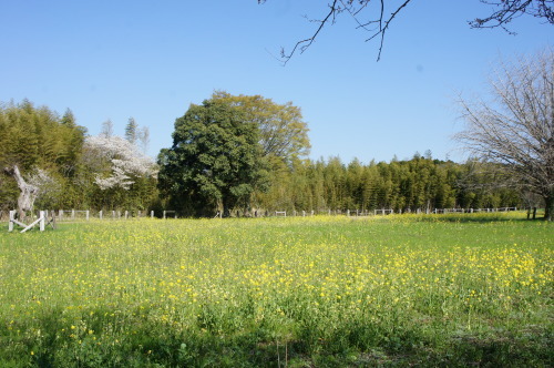 f0215714_16100925.jpg