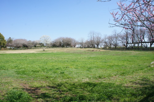 f0215714_16273543.jpg