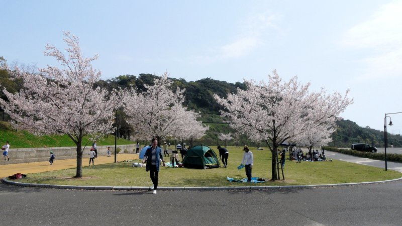 a0041615_18033829.jpg