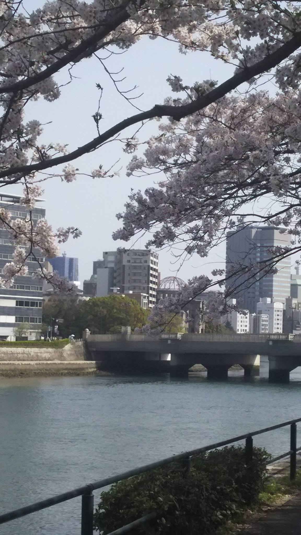 自転車で葉桜を楽しみ、広島市内一周_e0094315_18052138.jpg