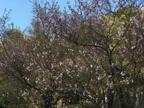 c0131818_09310227.jpeg