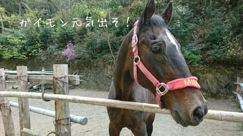 b0187620_17593909.jpg