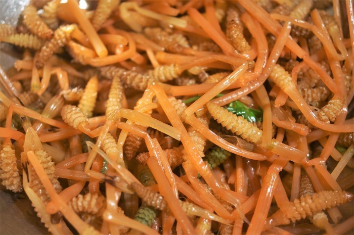 ■今が旬！！の野草料理材料費０円【つくしんぼちゃんの佃煮】美味しい煮付け方_b0033423_20274103.jpg