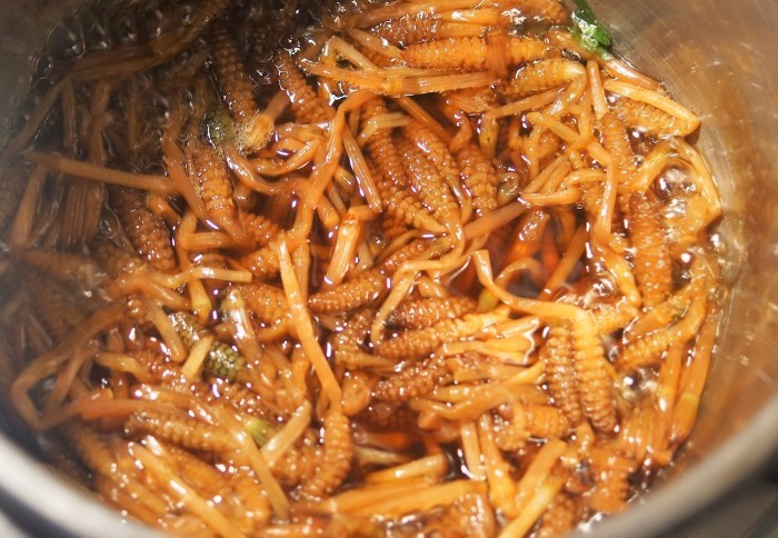 ■今が旬！！の野草料理材料費０円【つくしんぼちゃんの佃煮】美味しい煮付け方_b0033423_20380801.jpg