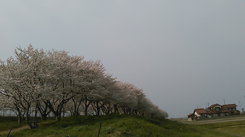 e0362124_23471928.jpeg