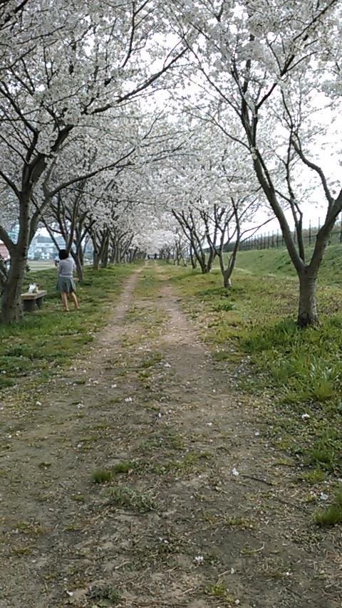 e0362124_23480146.jpeg