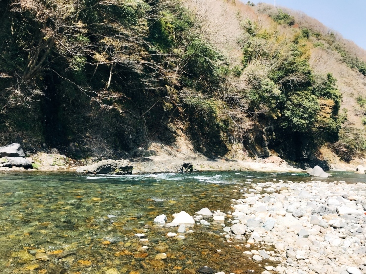 d0172227_22055642.jpeg