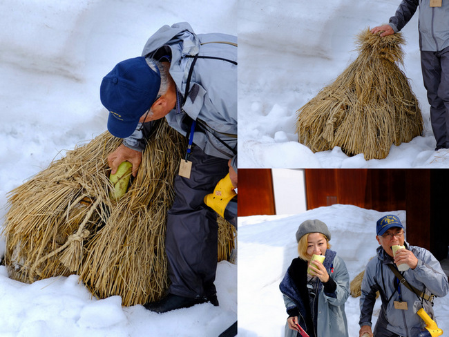 「雪の上を歩くって楽しい。美人林でスノーシュー!」_a0000029_22482926.jpg