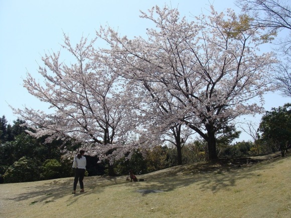 d0269832_08221471.jpeg