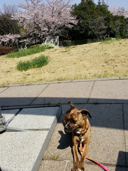 d0269832_08295849.jpeg