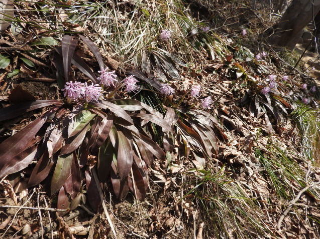 f0118332_23132097.jpg