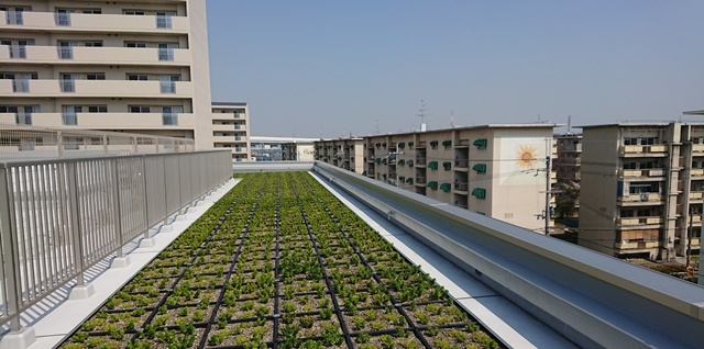 c0348636_19082691.jpg