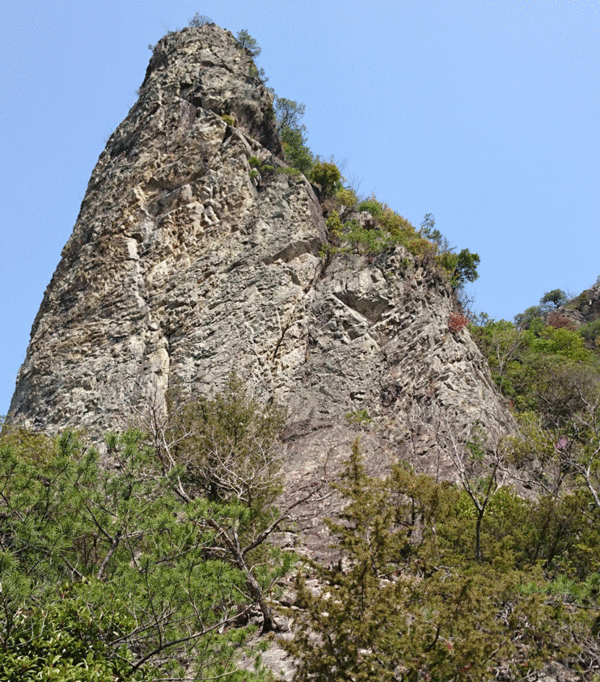 e0371039_16292047.gif