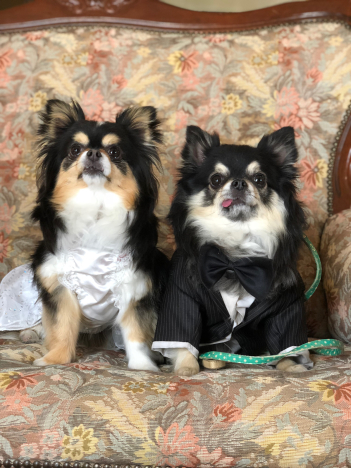 結婚式？_a0109641_22121743.jpg