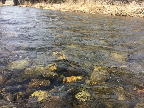 e0201348_05414404.jpeg