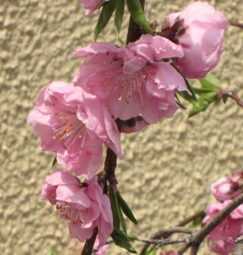 b0289649_15403897.jpg