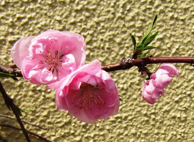 b0289649_21134520.jpg
