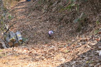 c0145250_09332561.gif