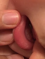 e0010856_3514730.jpg