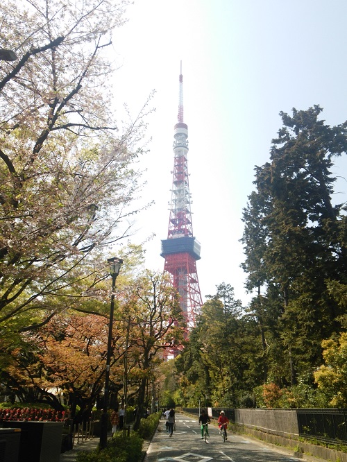 お花見＠増上寺～芝公園  2018/04/01_e0047657_1453932.jpg