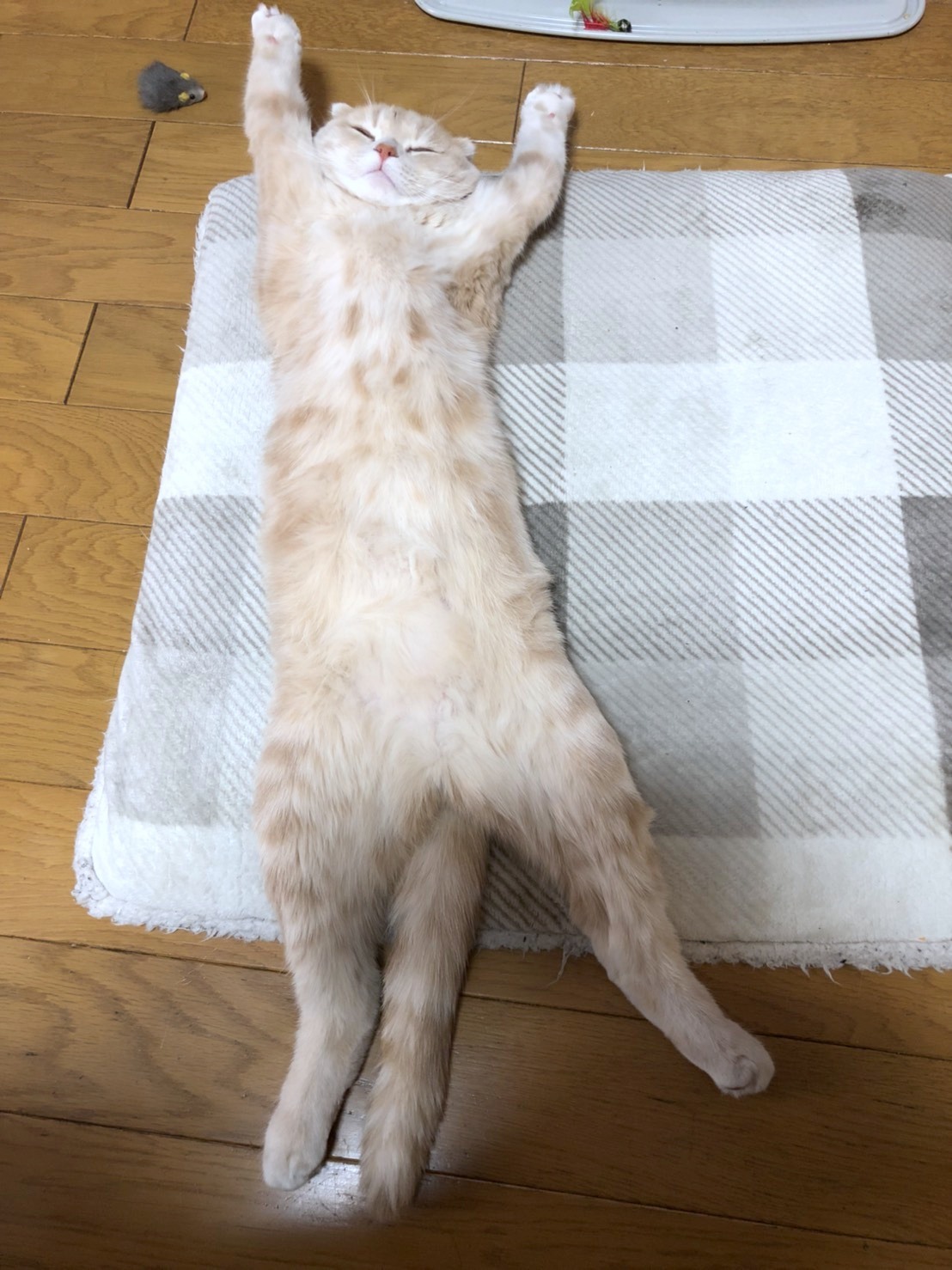 b0279058_20101171.jpeg