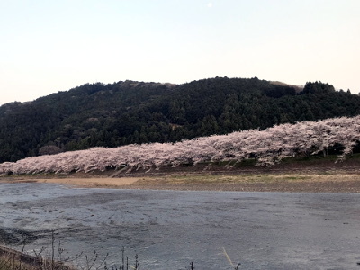 c0033858_07073449.jpg