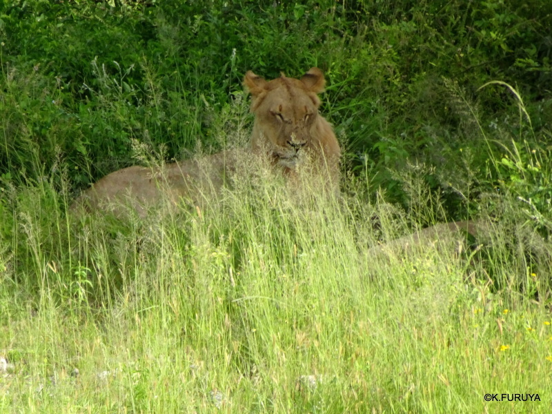 a0092659_23290710.jpg