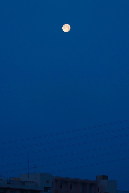 a0248459_13590616.jpg