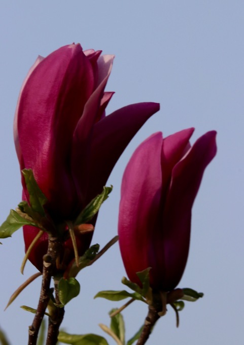 a0248459_14020234.jpg