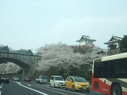 桜咲く♪_f0062159_22051404.jpg