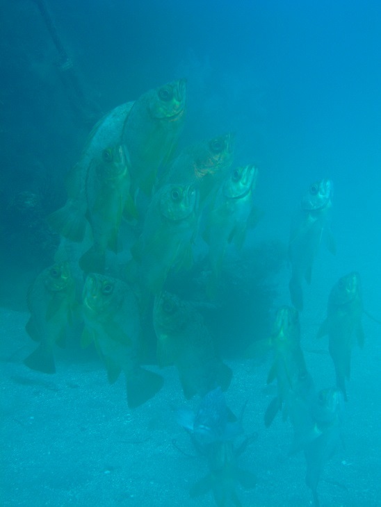 e0108765_18553234.jpg
