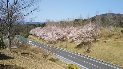 a0316366_22150088.jpg