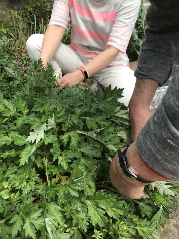 d0328666_17050955.jpeg
