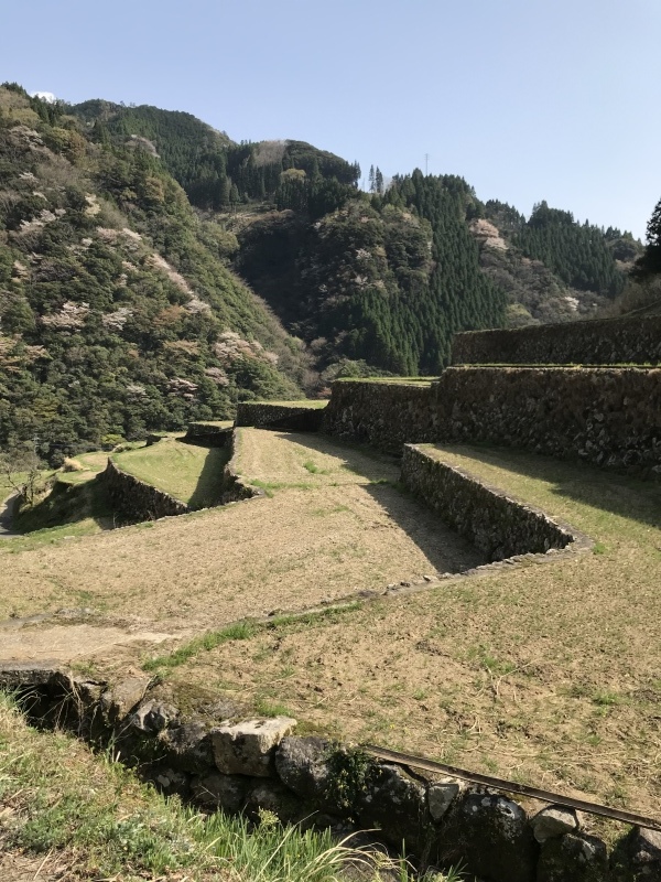 d0328666_17062929.jpeg