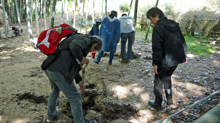 嬉しい！お土産は手掘りの初筍3・31六国見山花見（下）_c0014967_09132511.jpg