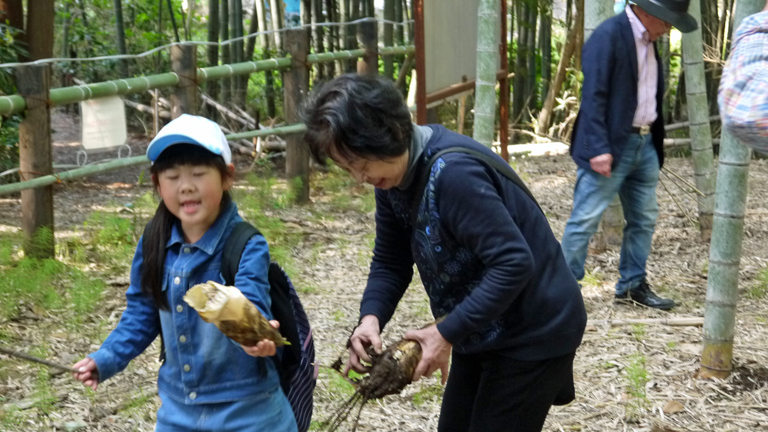 嬉しい！お土産は手掘りの初筍3・31六国見山花見（下）_c0014967_985027.jpg