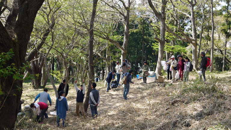 嬉しい！お土産は手掘りの初筍3・31六国見山花見（下）_c0014967_99106.jpg