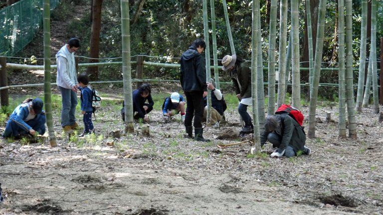 嬉しい！お土産は手掘りの初筍3・31六国見山花見（下）_c0014967_995476.jpg