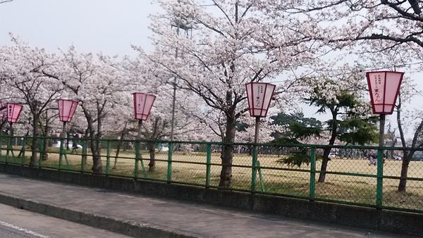 b0161371_12380556.jpg
