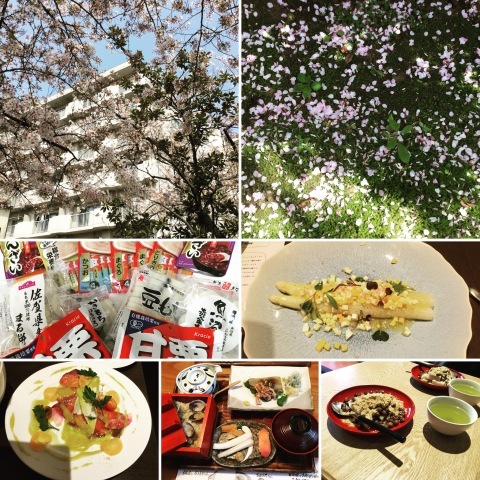 4月2日   明朝のフライト✈️でパリに戻ります。_c0134071_07202753.jpeg