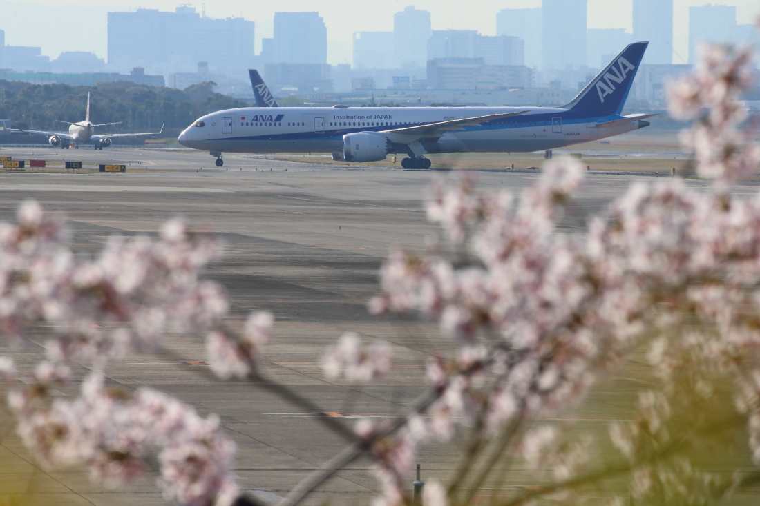飛行機と桜！_a0117972_20283543.jpg