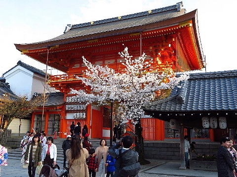 極上の京都。_b0141773_23422078.jpg