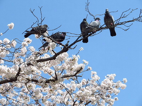 極上の京都。_b0141773_23444625.jpg